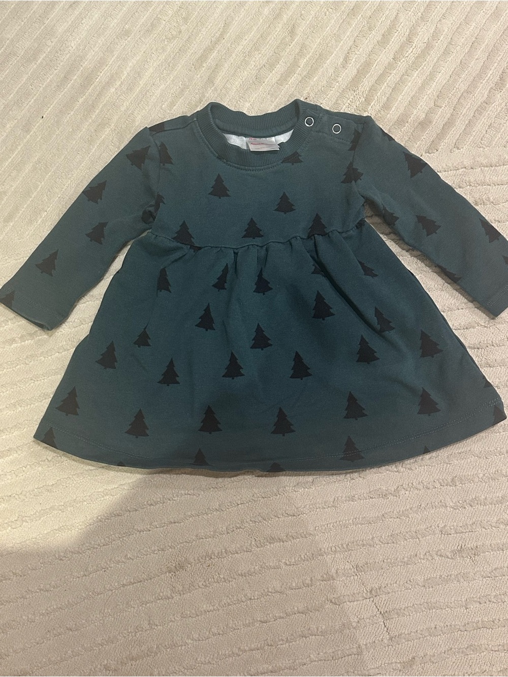 Hanna Andersson Evergreen Sweatshirt Dress